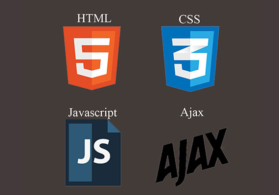 HTML5 include specific functions for embedding graphics, audio, video, and interactive documents. CSS is used for describing the look and formatting of a document written in a markup language. 